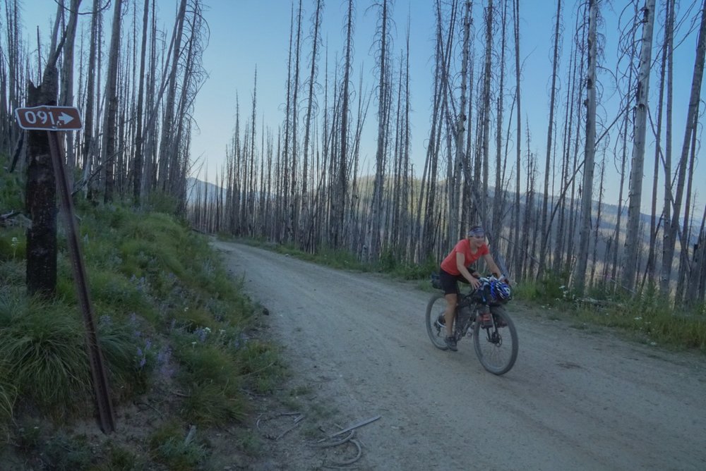 Forest Service roads through Idaho