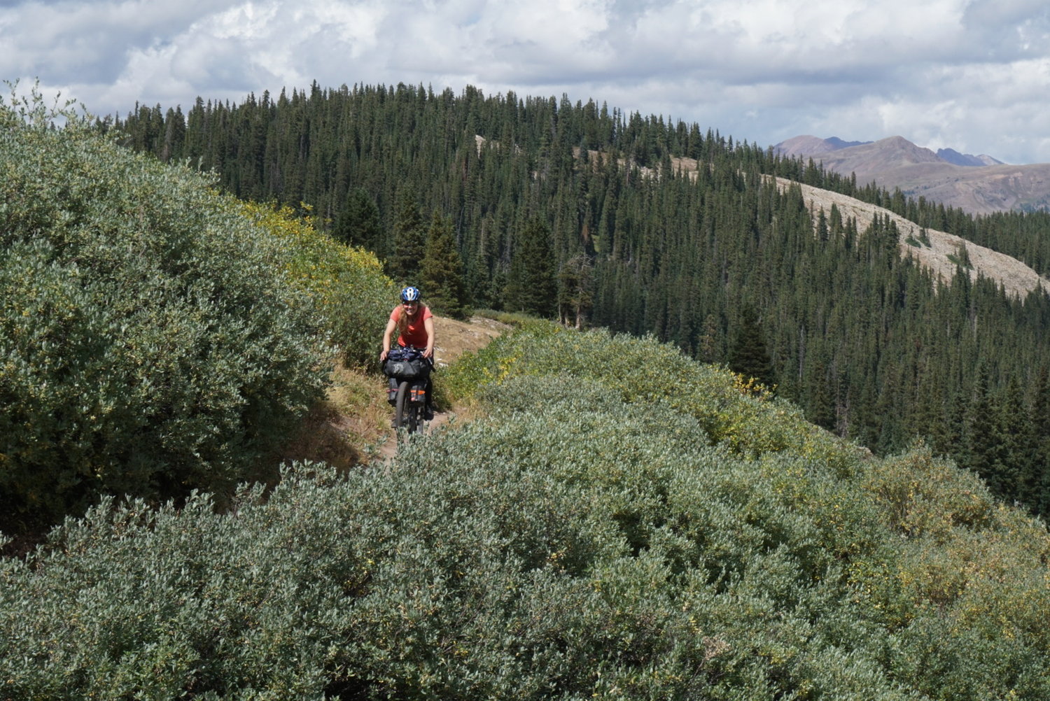 Rocky Mountain singletrack