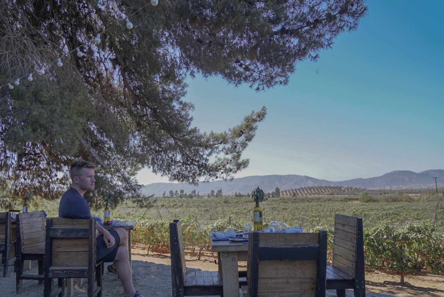 Devon at a winery in Valle de Guadalupe