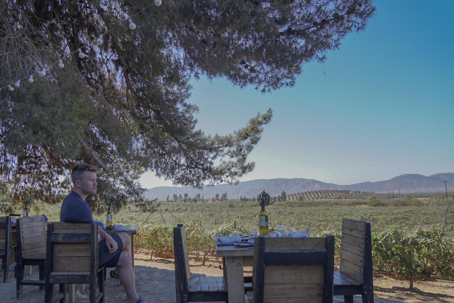 Devon at a winery in Valle de Guadalupe