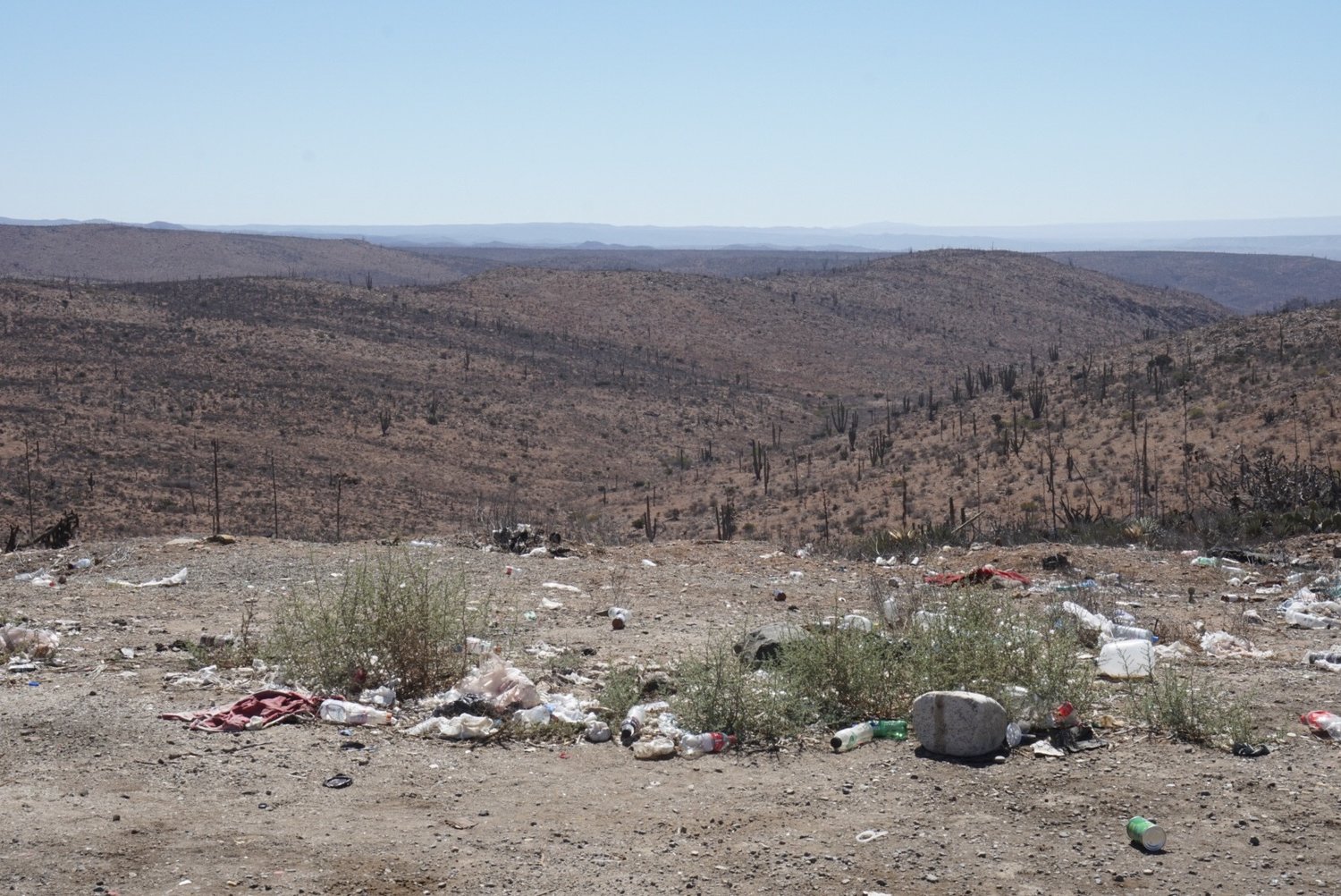 Trash on the side of the road